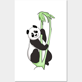 Panda baer Posters and Art